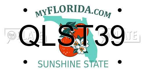 QLST39 Florida License Plate