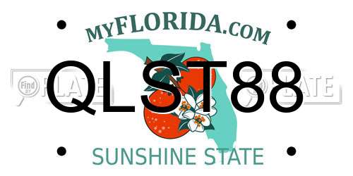 QLST88 Florida License Plate
