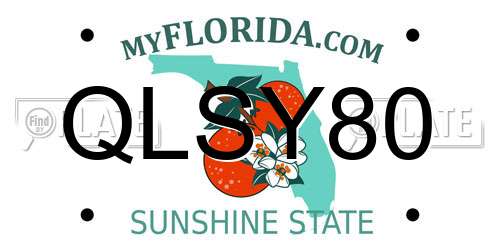 QLSY80 Florida License Plate
