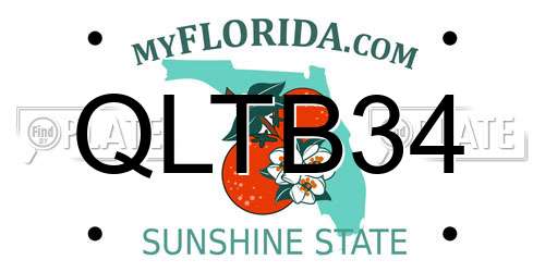 QLTB34 Florida License Plate