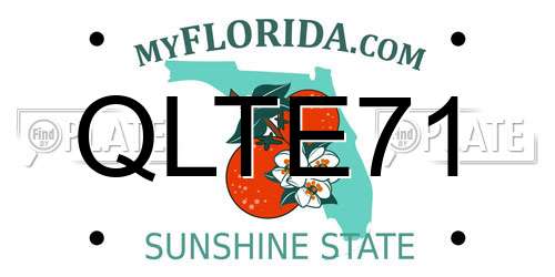 QLTE71 Florida License Plate