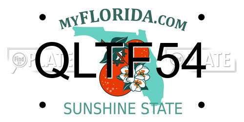 QLTF54 Florida License Plate