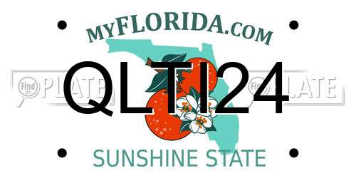 QLTI24 Florida License Plate