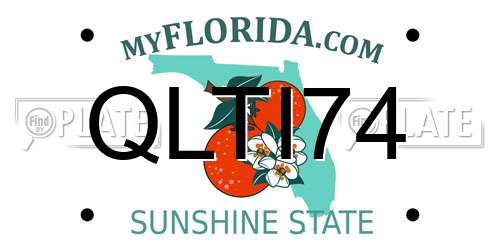 QLTI74 Florida License Plate