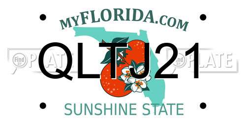 QLTJ21 Florida License Plate