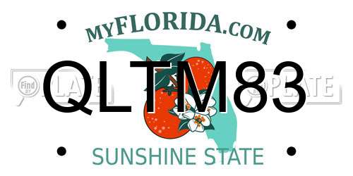 QLTM83 Florida License Plate