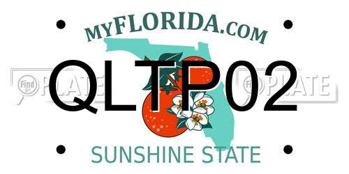 QLTP02 Florida License Plate