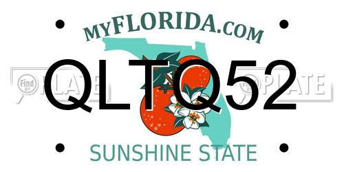 QLTQ52 Florida License Plate