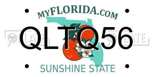 QLTQ56 Florida License Plate
