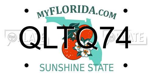 QLTQ74 Florida License Plate