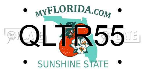 QLTR55 Florida License Plate