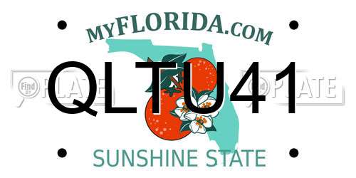 QLTU41 Florida License Plate