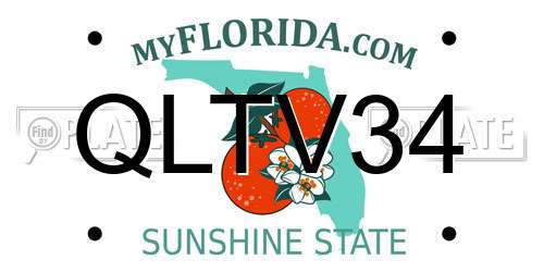 QLTV34 Florida License Plate