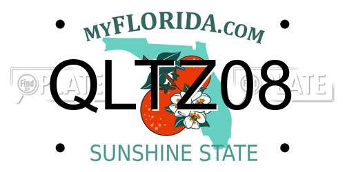 QLTZ08 Florida License Plate