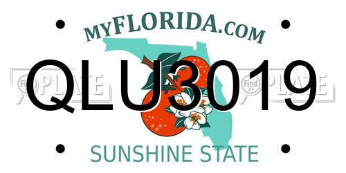 QLU3019 Florida License Plate