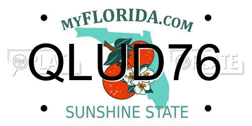 QLUD76 Florida License Plate