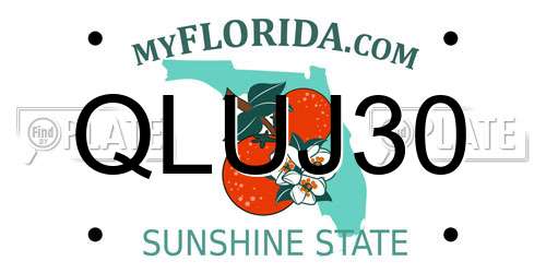 QLUJ30 Florida License Plate