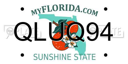 QLUQ94 Florida License Plate