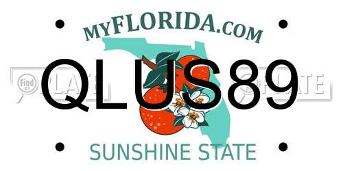 QLUS89 Florida License Plate