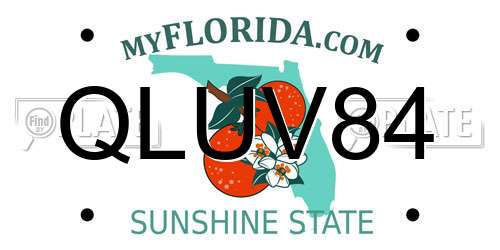 QLUV84 Florida License Plate