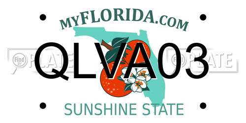 QLVA03 Florida License Plate