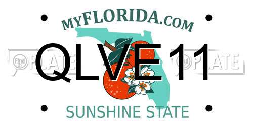 QLVE11 Florida License Plate