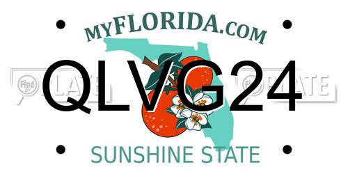 QLVG24 Florida License Plate