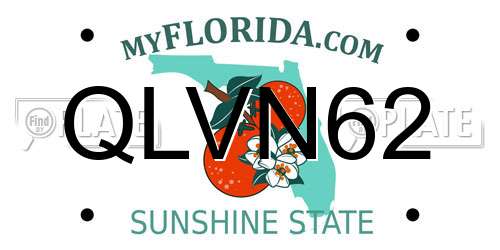 QLVN62 Florida License Plate