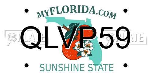 QLVP59 Florida License Plate
