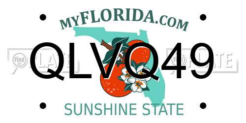 QLVQ49 Florida License Plate