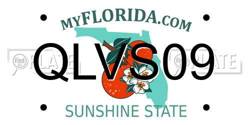 QLVS09 Florida License Plate