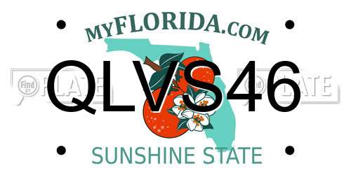 QLVS46 Florida License Plate
