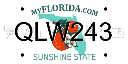 QLW243 Florida License Plate