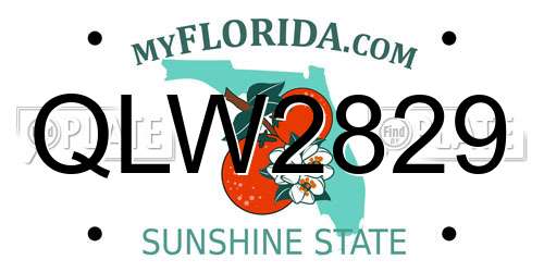 QLW2829 Florida License Plate
