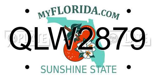 QLW2879 Florida License Plate
