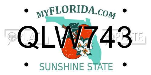 QLW743 Florida License Plate