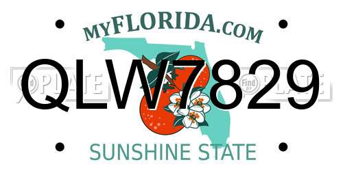 QLW7829 Florida License Plate