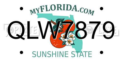 QLW7879 Florida License Plate