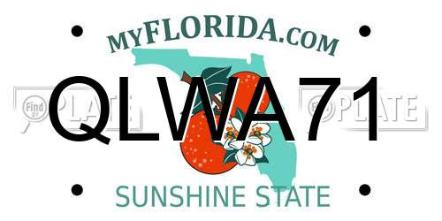 QLWA71 Florida License Plate