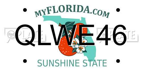 QLWE46 Florida License Plate