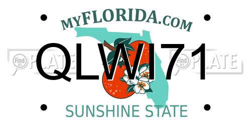 QLWI71 Florida License Plate
