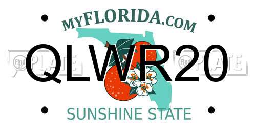 QLWR20 Florida License Plate