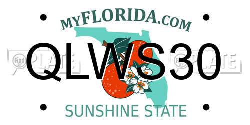 QLWS30 Florida License Plate