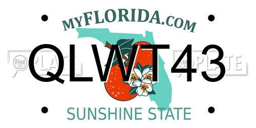 QLWT43 Florida License Plate
