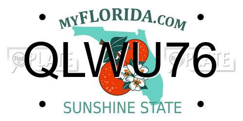 QLWU76 Florida License Plate