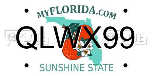 QLWX99 Florida License Plate