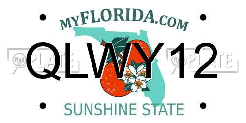 QLWY12 Florida License Plate