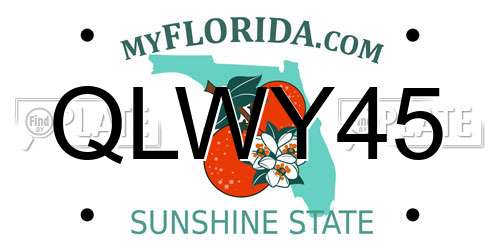QLWY45 Florida License Plate