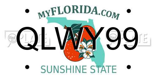 QLWY99 Florida License Plate