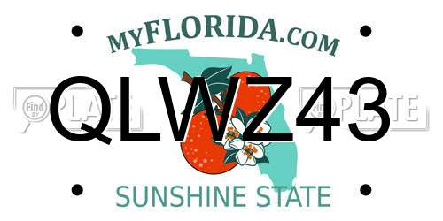QLWZ43 Florida License Plate